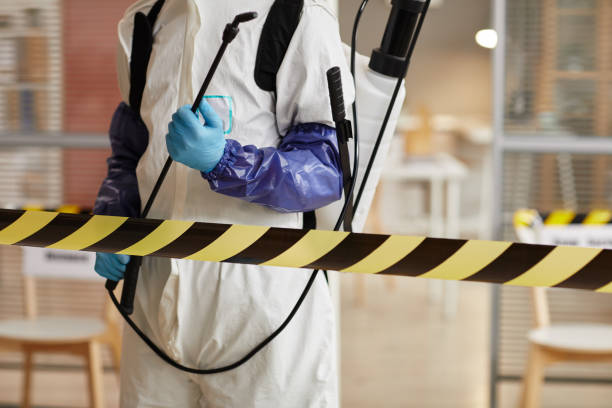 Professional Sewage Cleanup technician working in Denton, NE